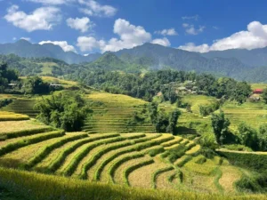 Late August to Late September sapa 2