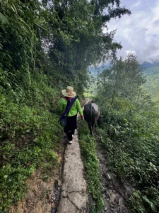 Sapa trekking