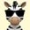 attractivezebra1701 avt Vietadvisor