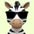 confidentzebra3086 avt Vietadvisor