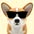 humblecorgi3318 avt Vietadvisor