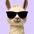 inspiringllama4448 avt Vietadvisor