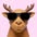 scottraveler2026 avt Vietadvisor