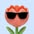 tulip907 avt Vietadvisor