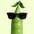 yellowpeapod9236 avt Vietadvisor