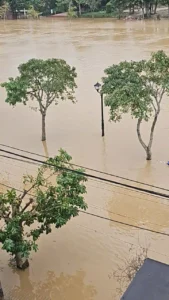 Typhoons in Da Nang 3