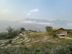 img_52376_2