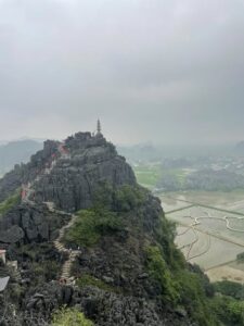 img_52556_4