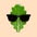 vibrantarugula6502 avt Vietadvisor