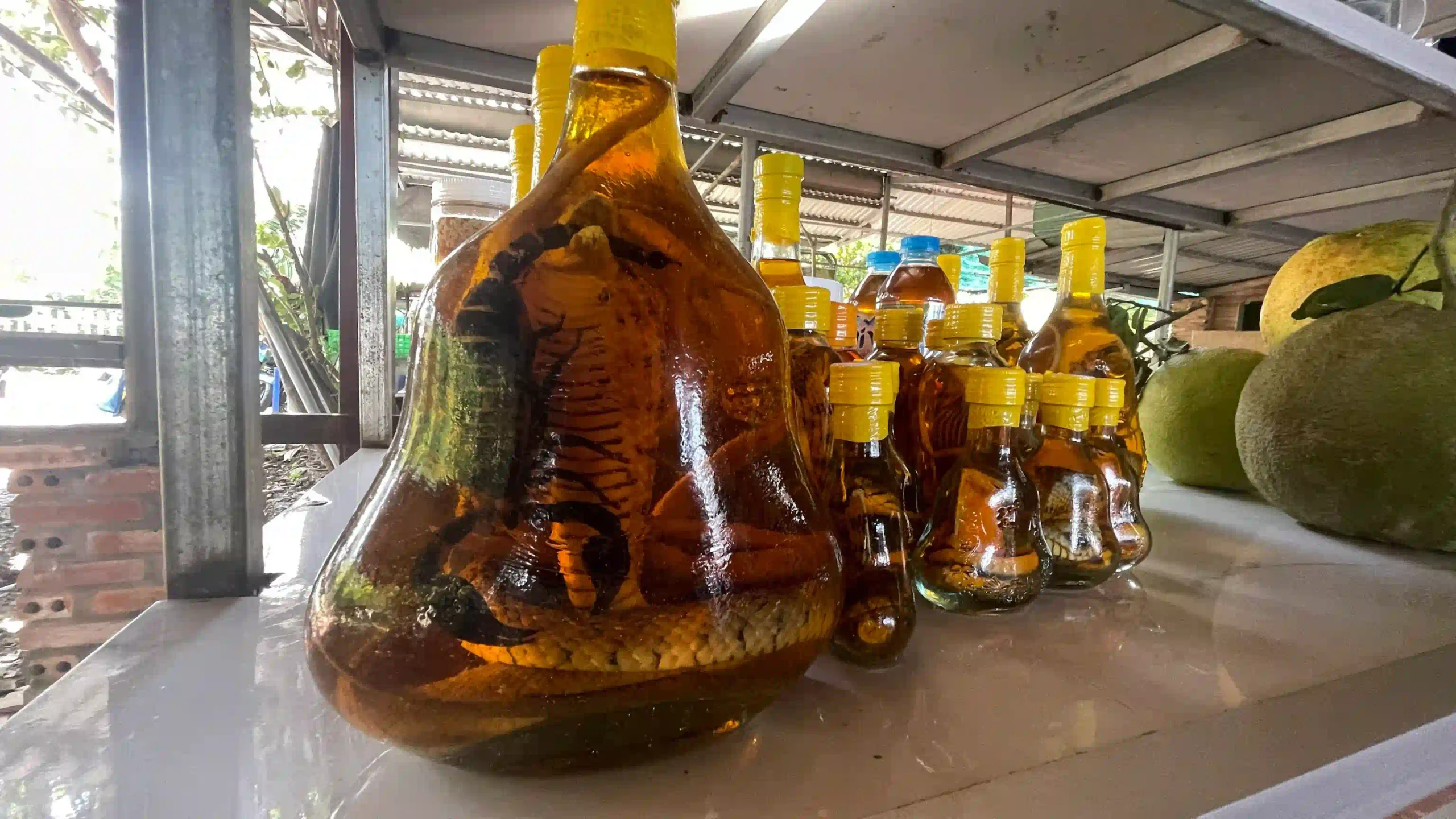 Best way to spend 5 days in Ho Chi Minh City for travelers 71 honey farm mekong delta scaled Vietadvisor