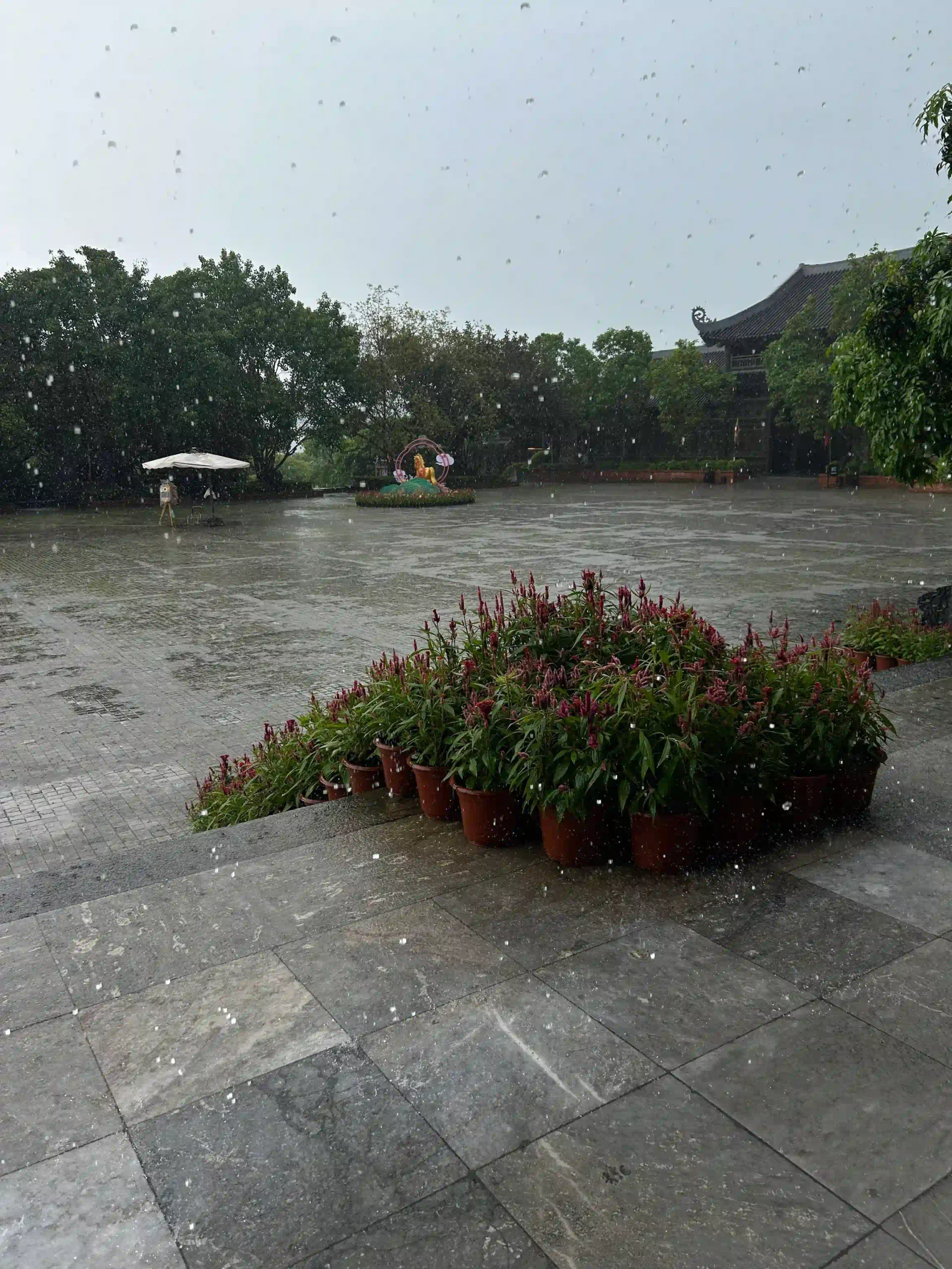 5 ways to enjoy Ninh Binh on rainy days 24 Bai Dinh Pagoda on rainny day 4 scaled Vietadvisor
