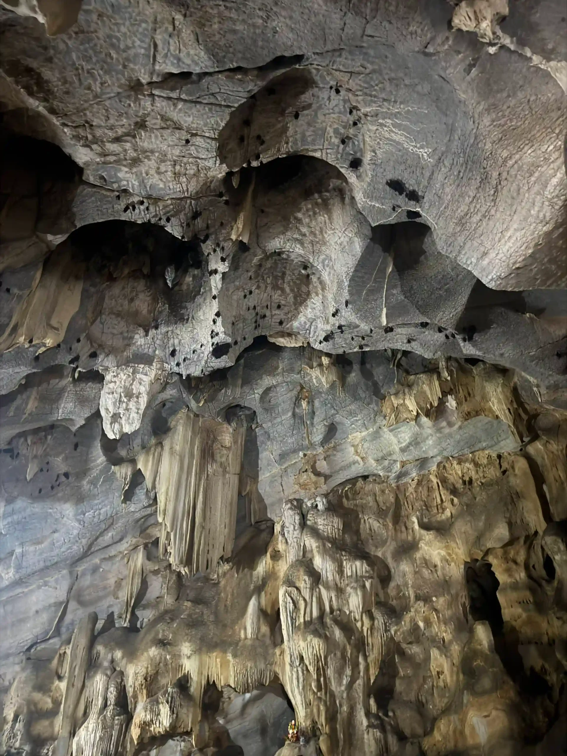 Ranking of things to do in Ninh Binh that worth your time 64 Bich Dong Pagoda 3 scaled Vietadvisor