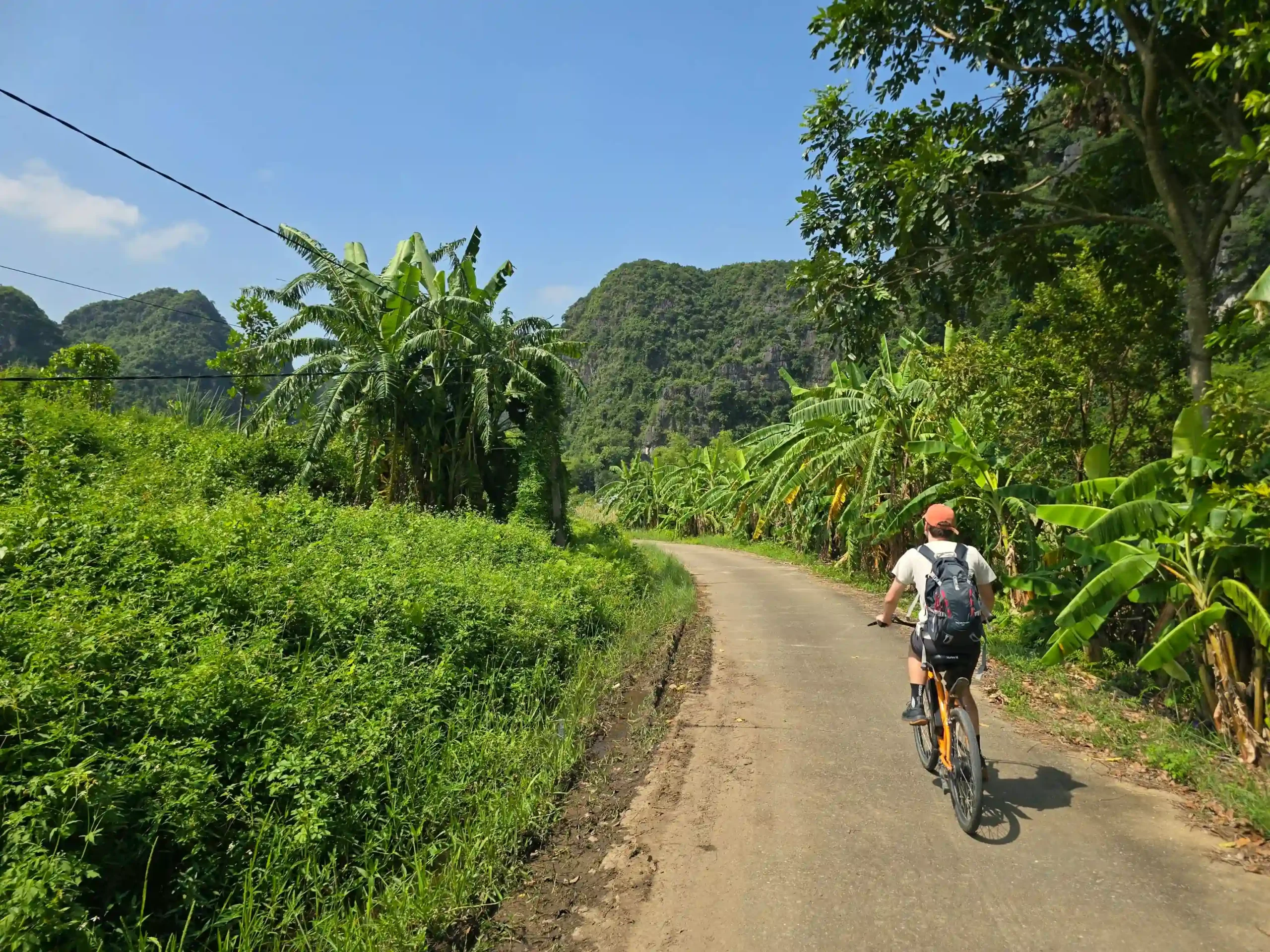 Ranking of things to do in Ninh Binh that worth your time 75 Cycling Through the Rice Paddies 4 scaled Vietadvisor