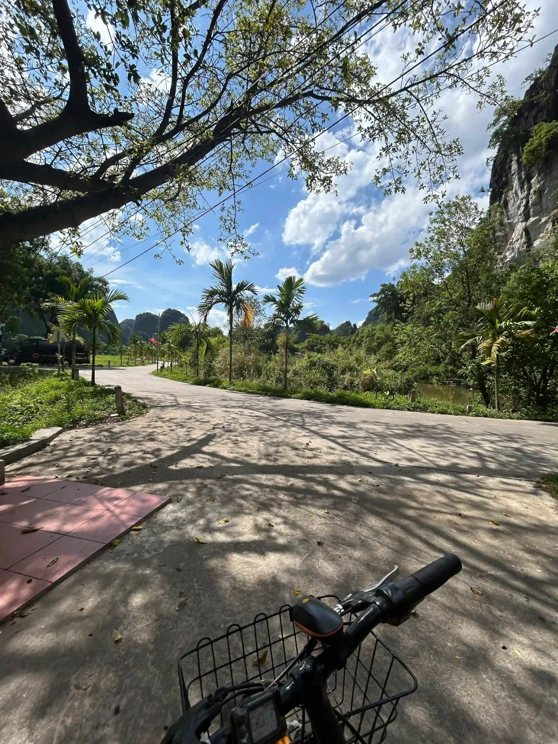 Ranking of things to do in Ninh Binh that worth your time 74 Cycling Through the Rice Paddies scaled Vietadvisor