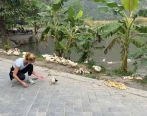 Guided – What a Ninh Binh Bike Tour Day Actually Looks Like 2