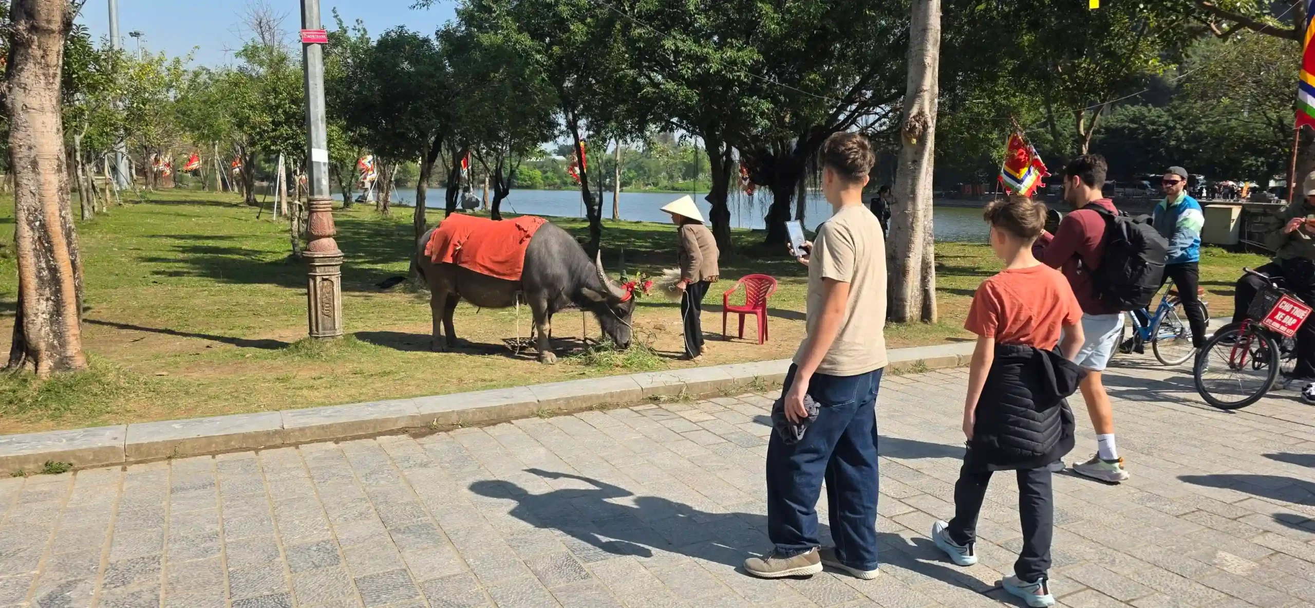 Ranking of things to do in Ninh Binh that worth your time 53 Hoa Lu Ancient Capital 5 scaled Vietadvisor
