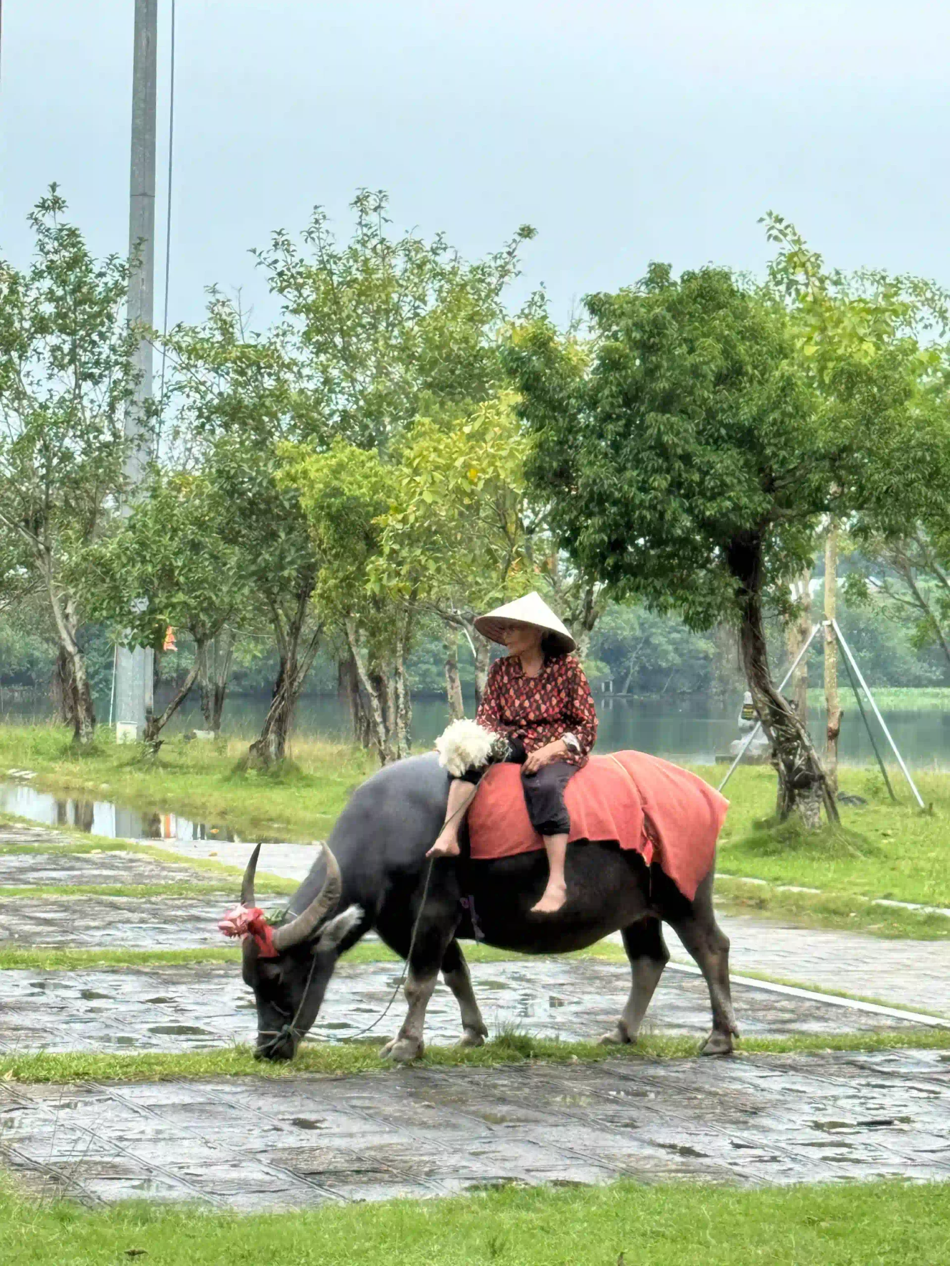 5 ways to enjoy Ninh Binh on rainy days 35 Hoa Lu Ancient Capital on rainny day 7 scaled Vietadvisor