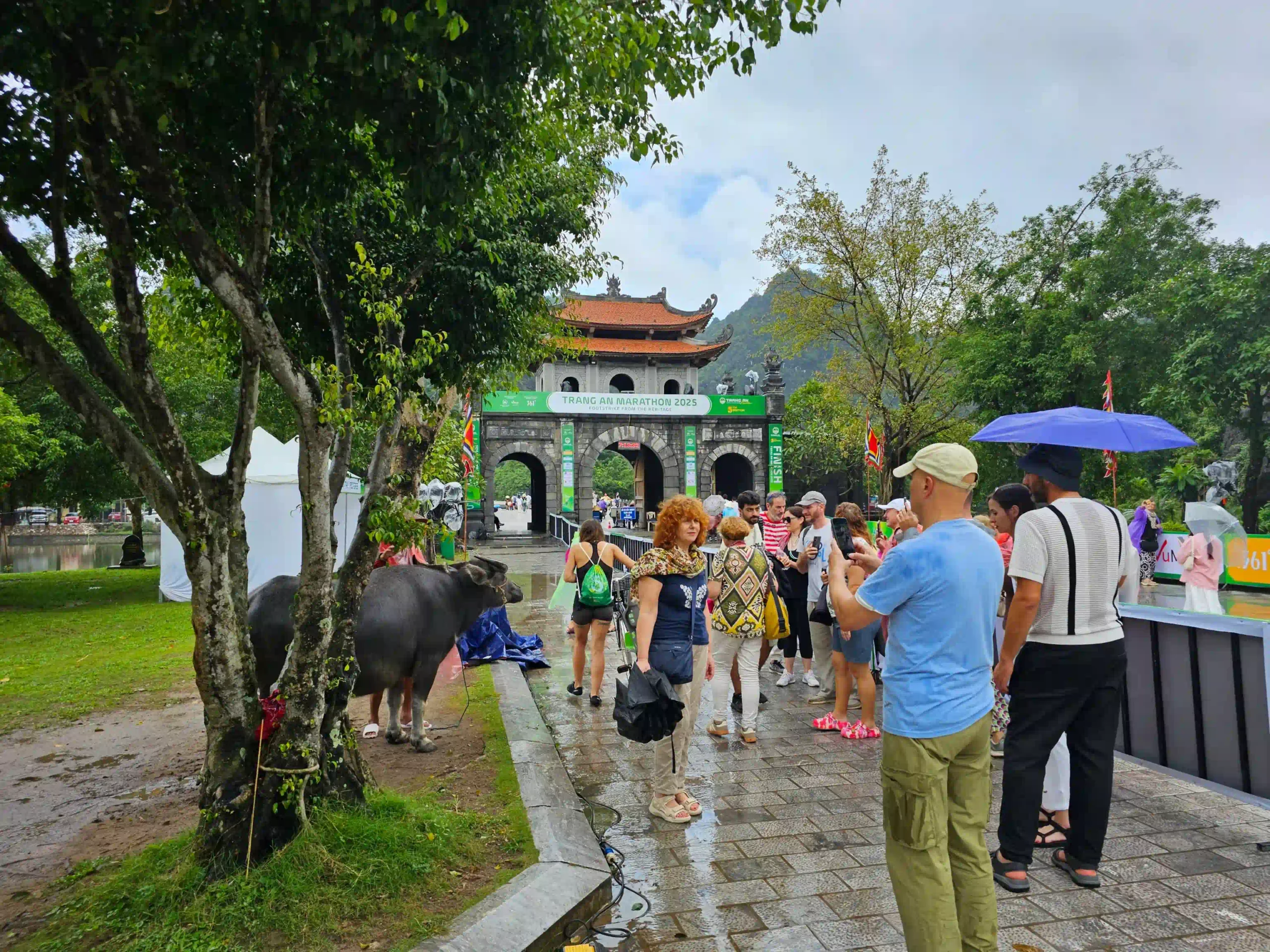 5 ways to enjoy Ninh Binh on rainy days 30 Hoa Lu Ancient Capital on rainny day 8 scaled Vietadvisor