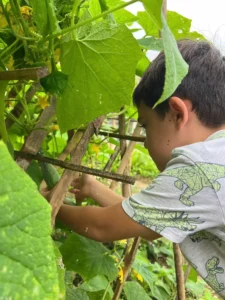 Is ninh binh cooking and farm suitable for kids 3