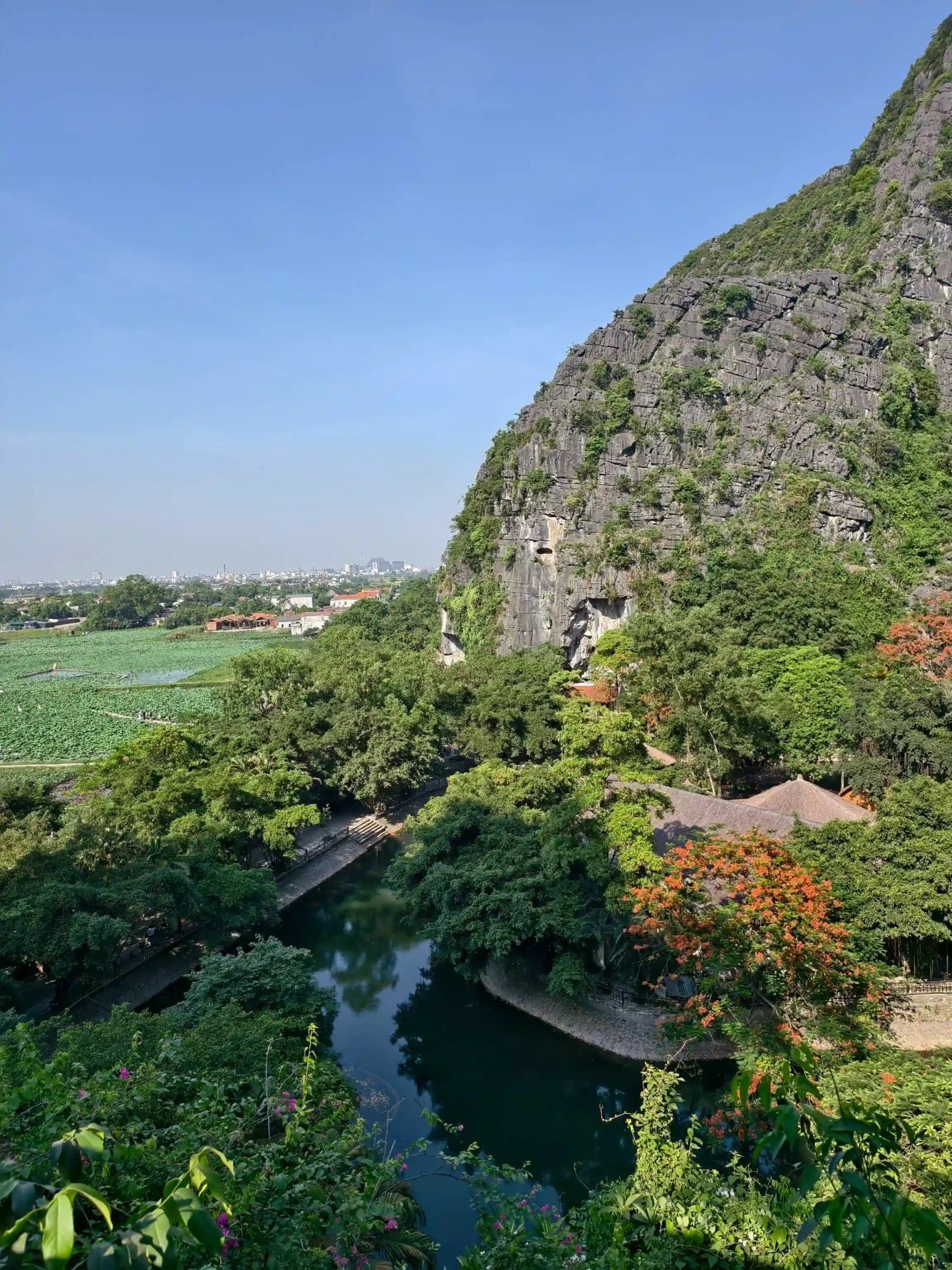 Ranking of things to do in Ninh Binh that worth your time 44 Mua Cave Dragon Mountain Viewpoint 2 scaled Vietadvisor