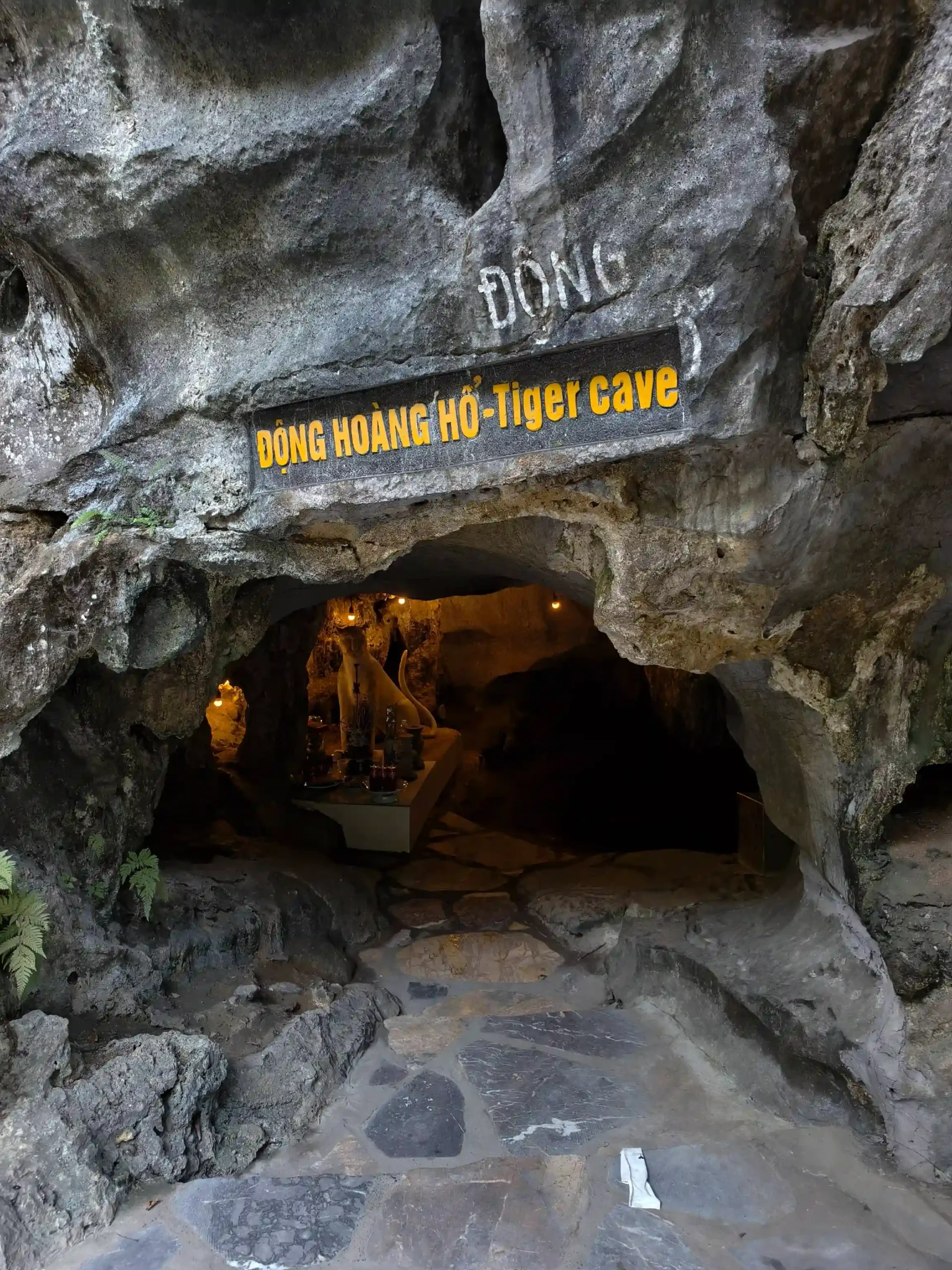 Ranking of things to do in Ninh Binh that worth your time 41 Mua Cave Dragon Mountain Viewpoint scaled Vietadvisor