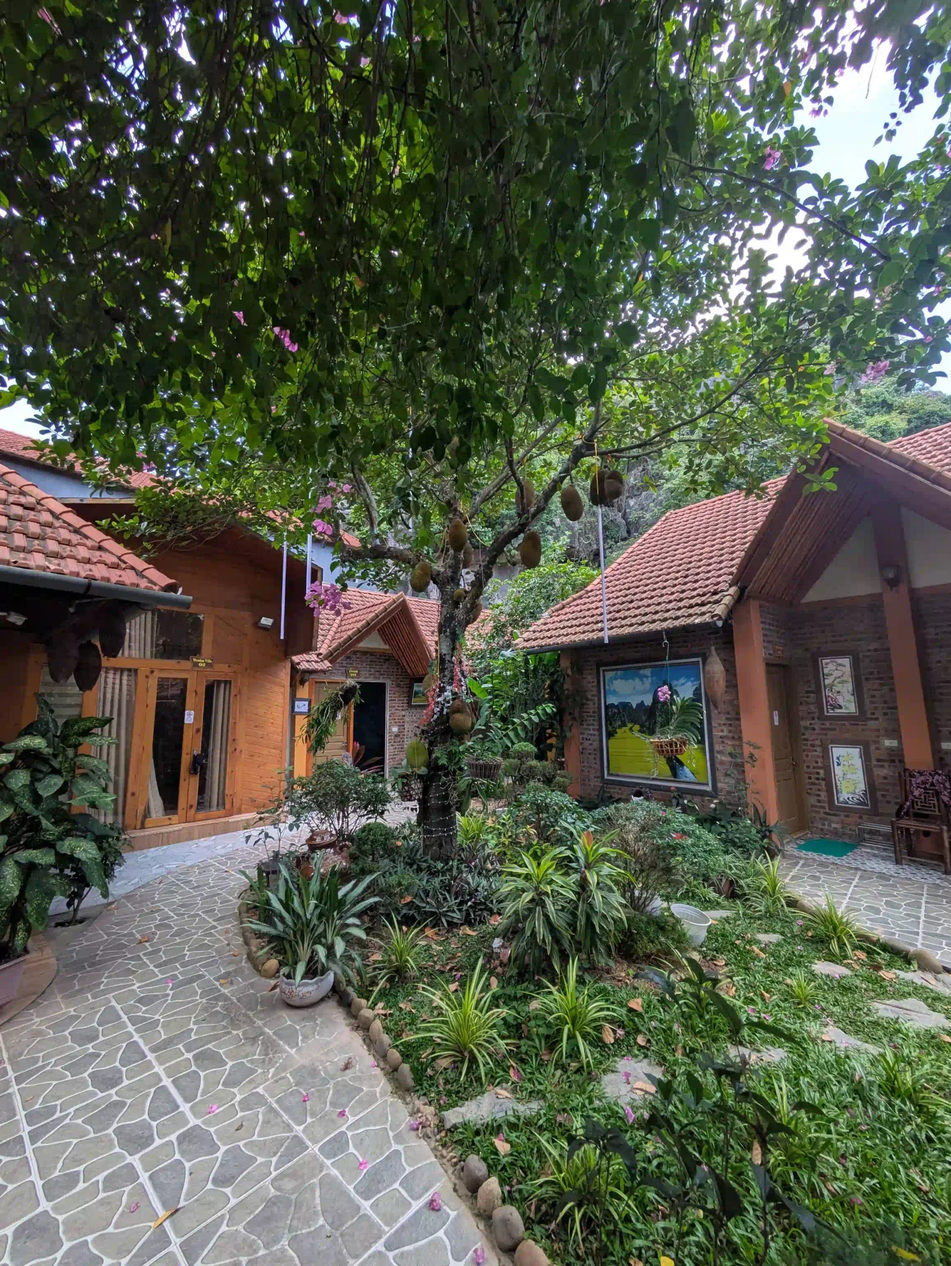 Best places to stay in Ninh Binh for views & fast access 30 Tam Coc Friends Homestay 4 scaled Vietadvisor