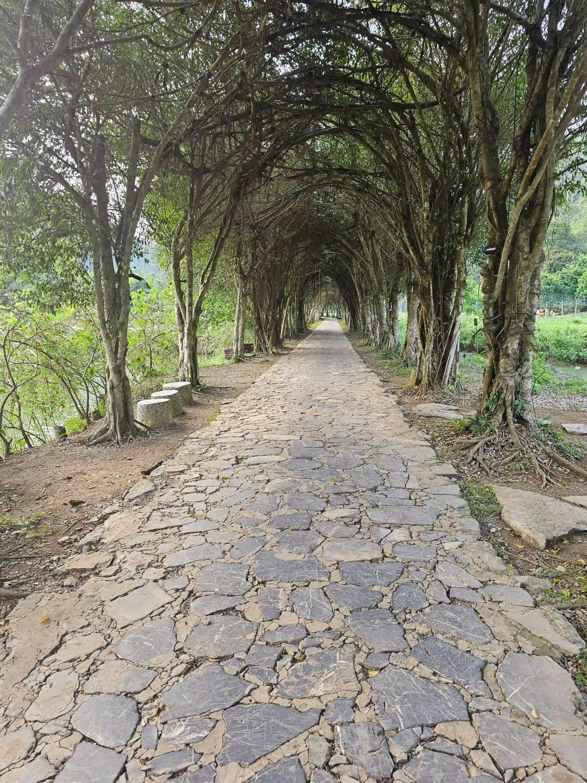 Best places to stay in Ninh Binh for views & fast access 32 Tam Coc Friends Homestay 7 scaled Vietadvisor