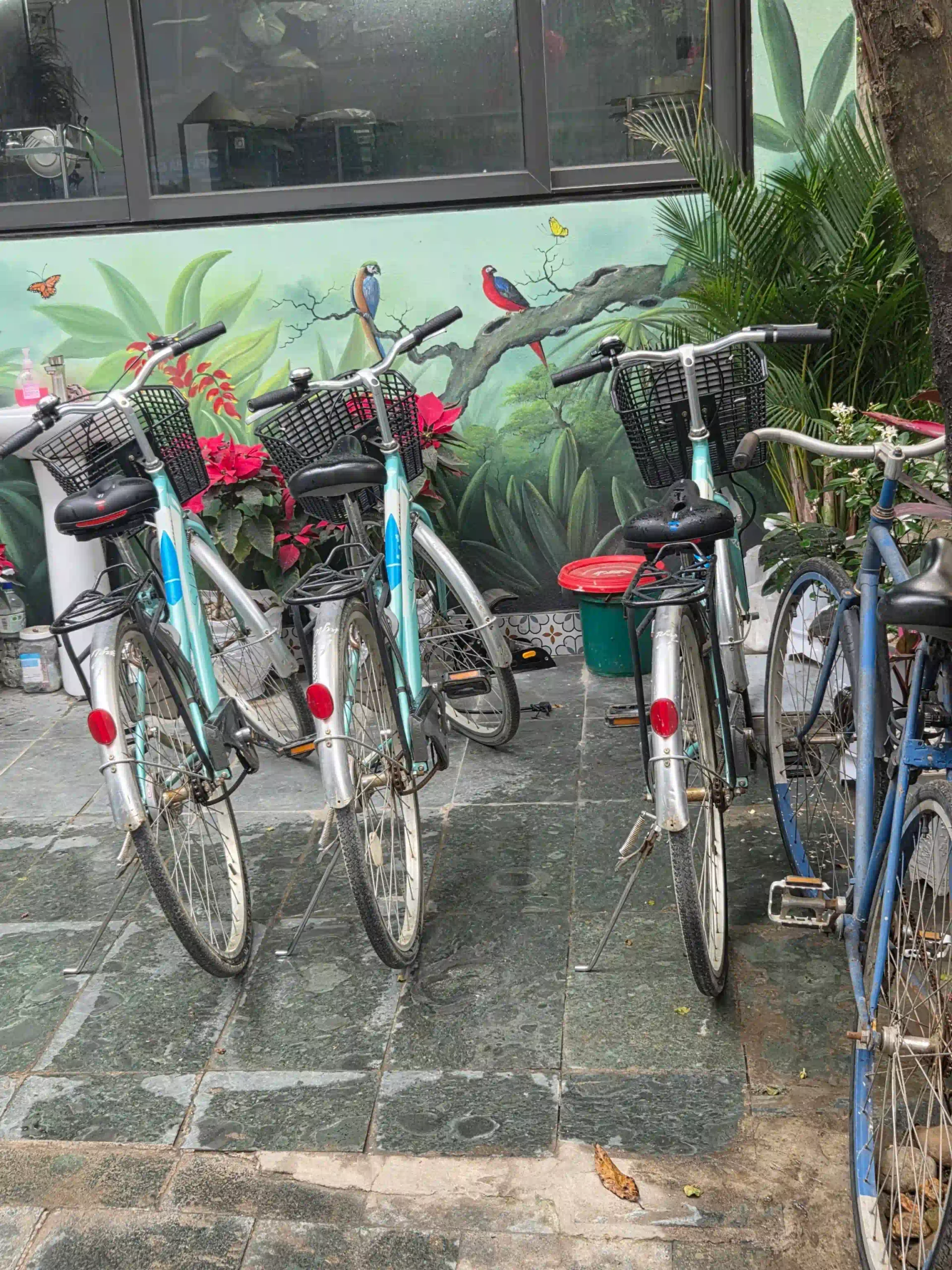 Best places to stay in Ninh Binh for views & fast access 26 Tam Coc Full House Homestay 3 scaled Vietadvisor