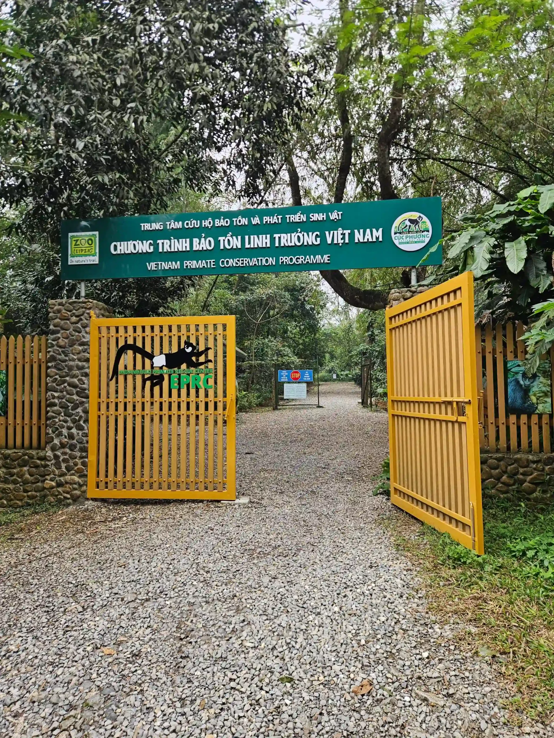 Ranking of things to do in Ninh Binh that worth your time 83 The Endangered Primate Rescue Center Cuc Phuong National Park 3 scaled Vietadvisor