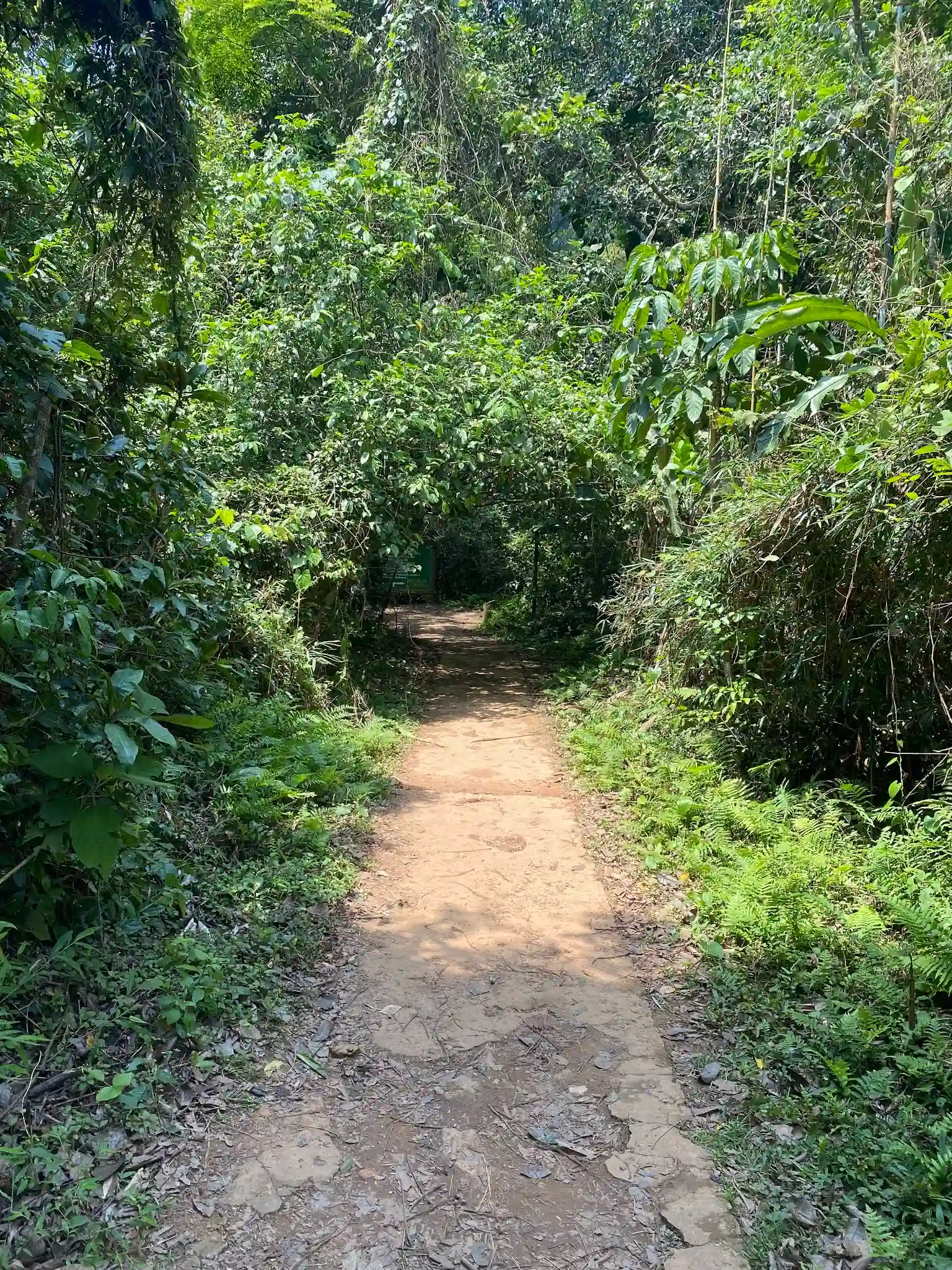 Ranking of things to do in Ninh Binh that worth your time 86 The Endangered Primate Rescue Center Cuc Phuong National Park 6 Vietadvisor