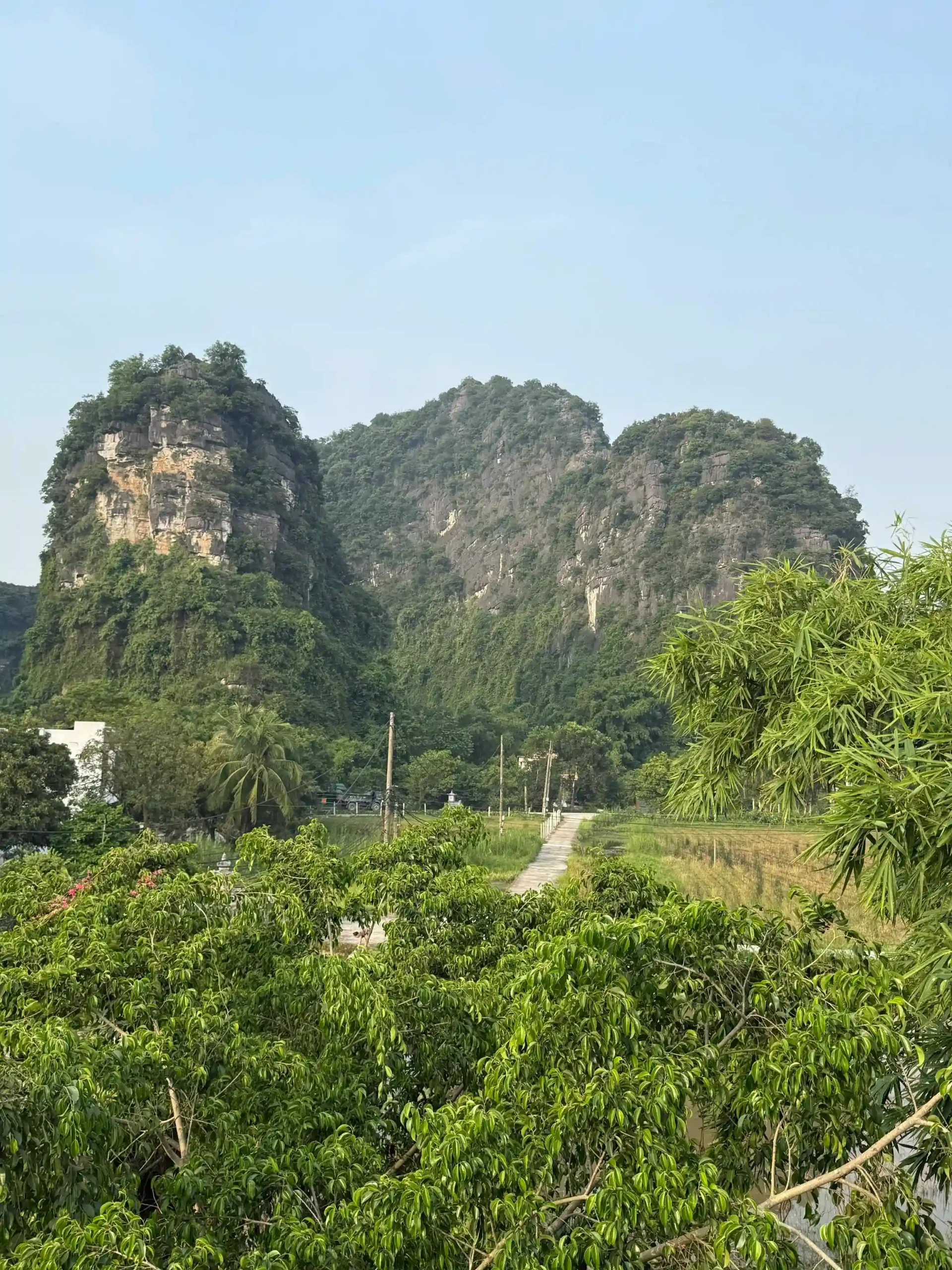 Should you visit Ninh Binh or Ha Long Bay, or both? (2026) 2 Ninh Binh or Ha Long Bay