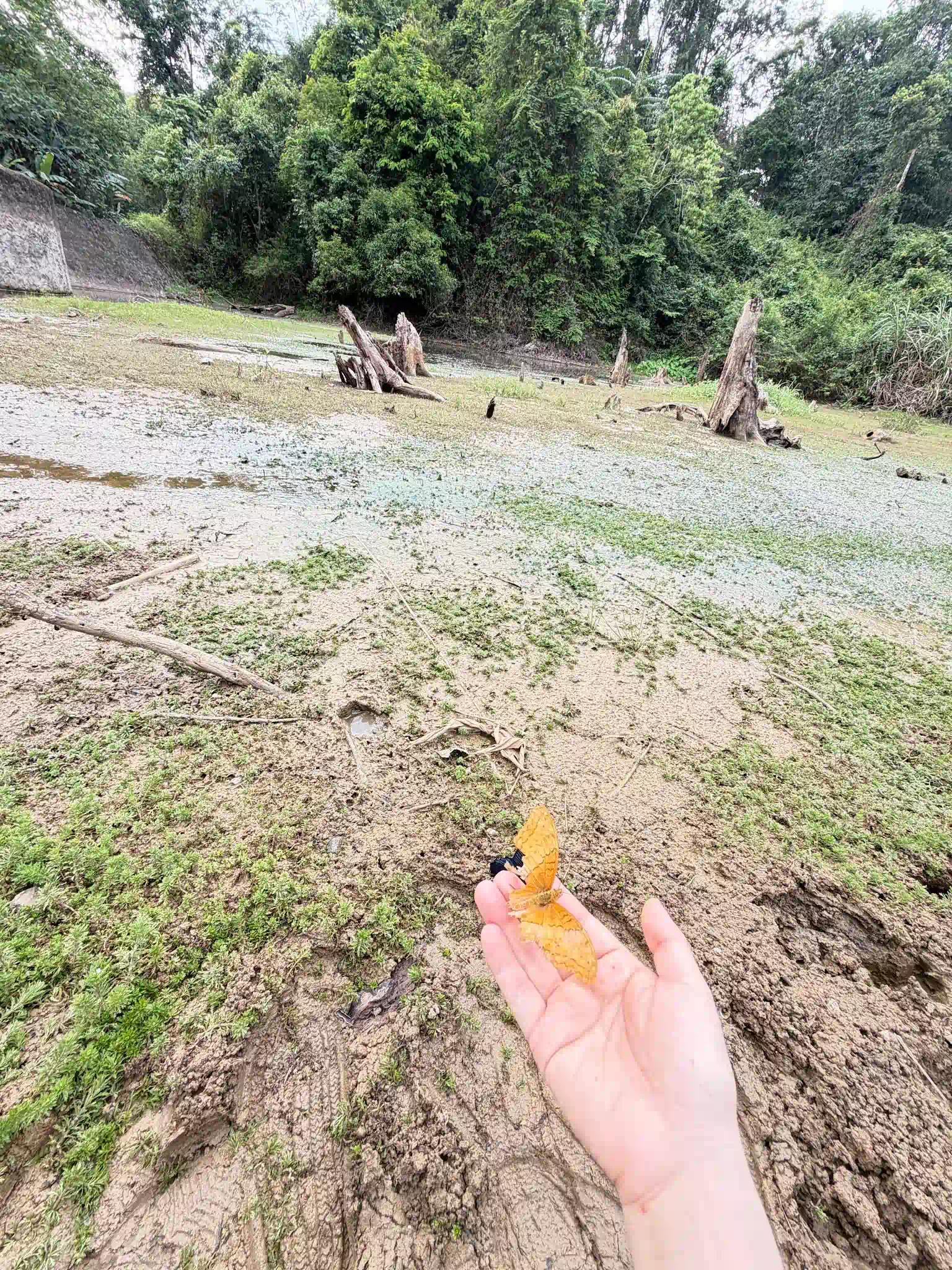 Trekking Cuc Phuong National Parks Actual Trail 11 Vietadvisor