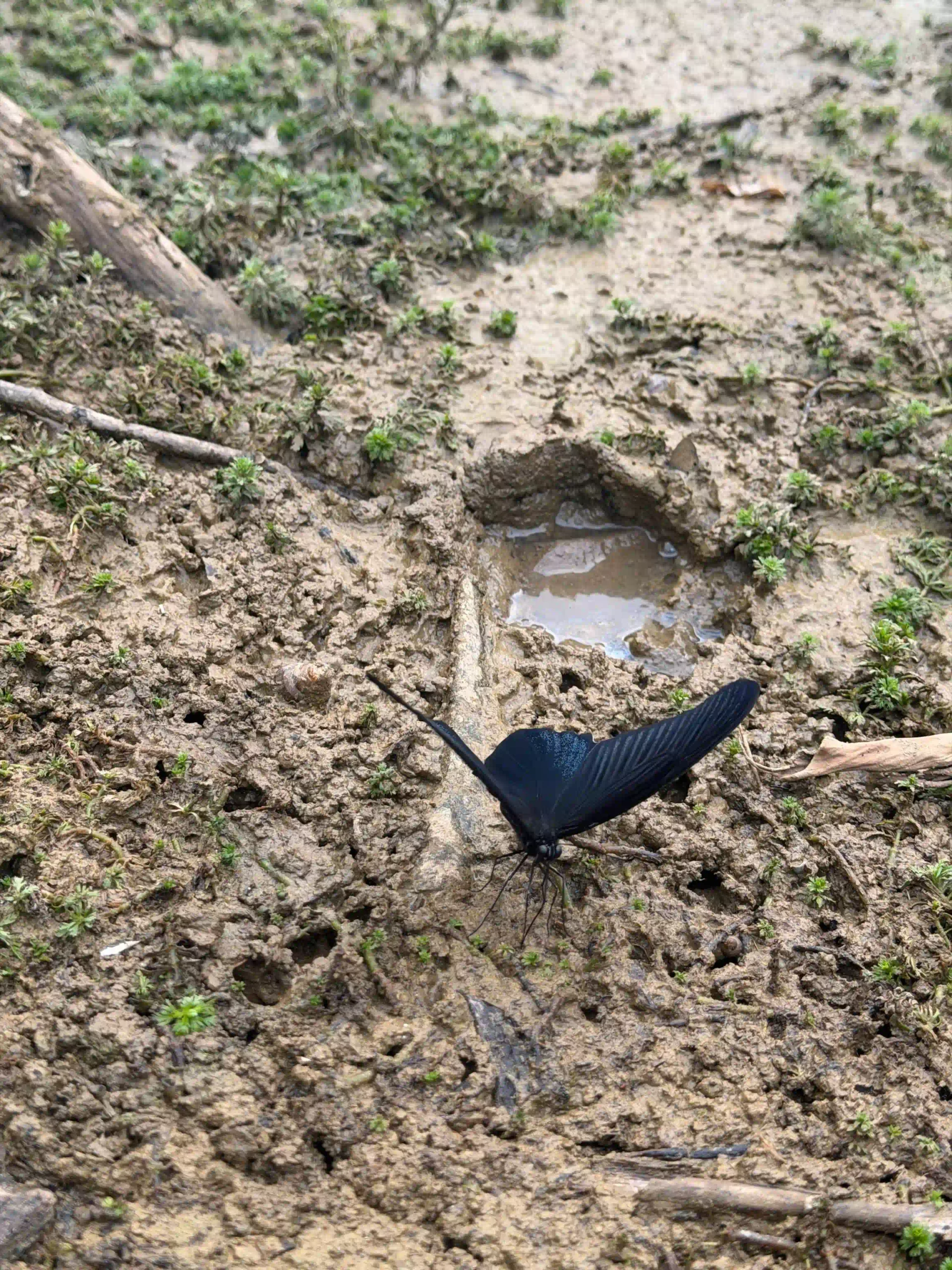 Trekking Cuc Phuong National Parks Actual Trail 12 scaled Vietadvisor