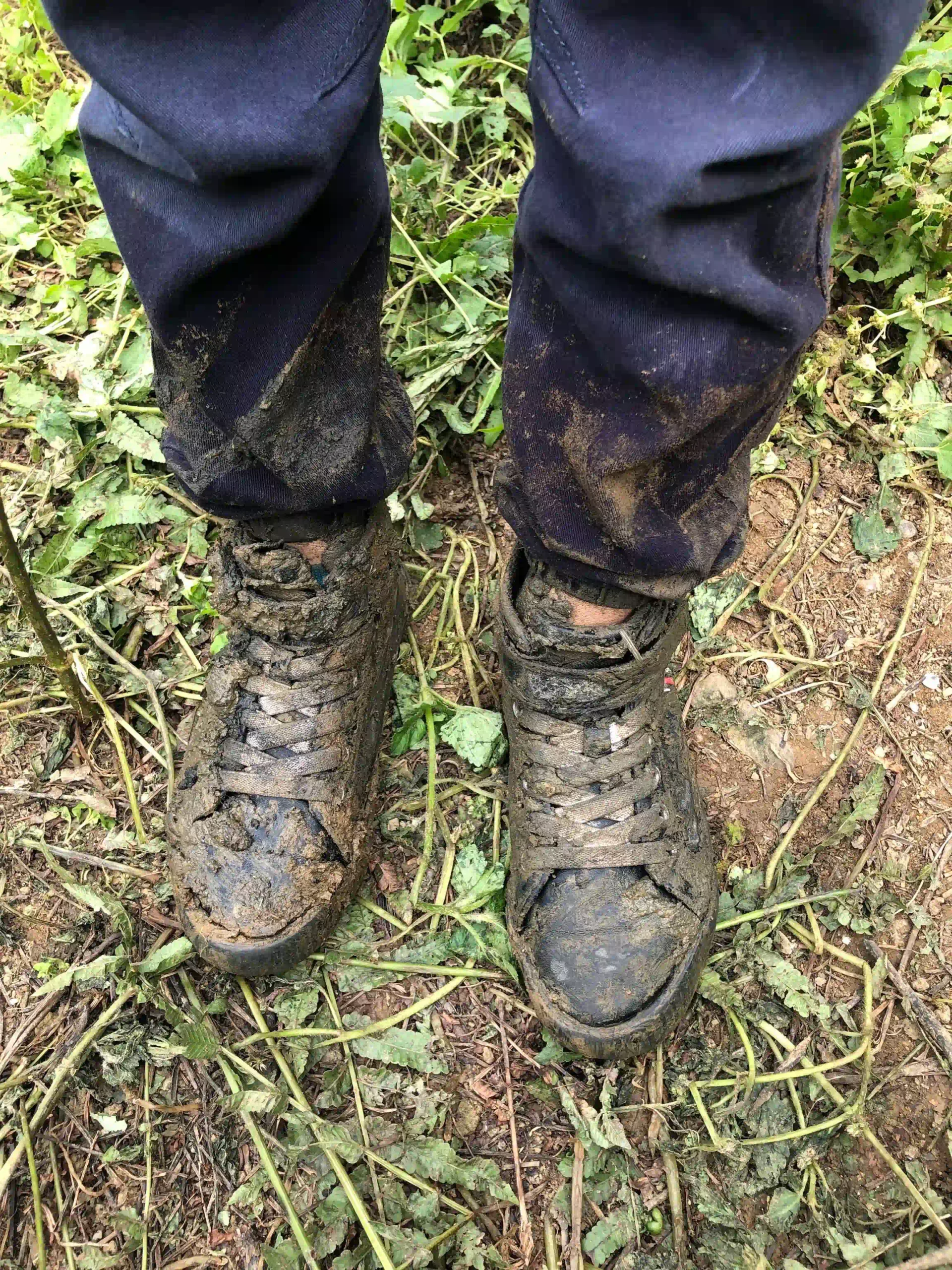 What Hiking Cuc Phuong National Park Doesnt Tell You Upfront 3 scaled Vietadvisor