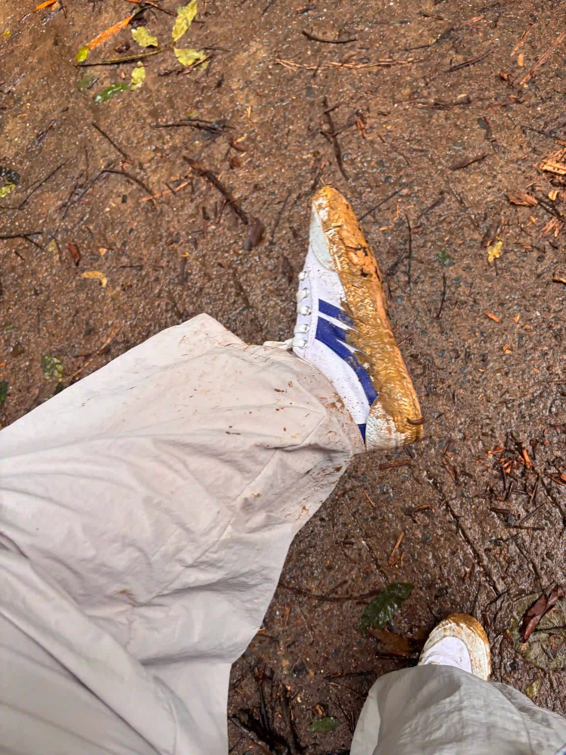 What Hiking Cuc Phuong National Park Doesnt Tell You Upfront scaled Vietadvisor