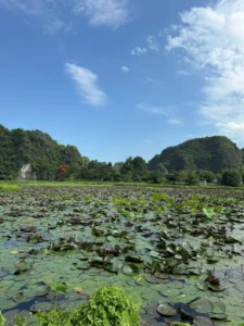 Why a Ninh Binh Bike Tour Is Worth Doing at All