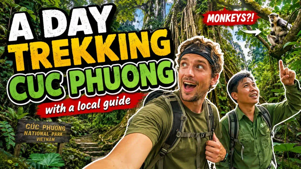A day trekking Cuc Phuong National Park with a local guide