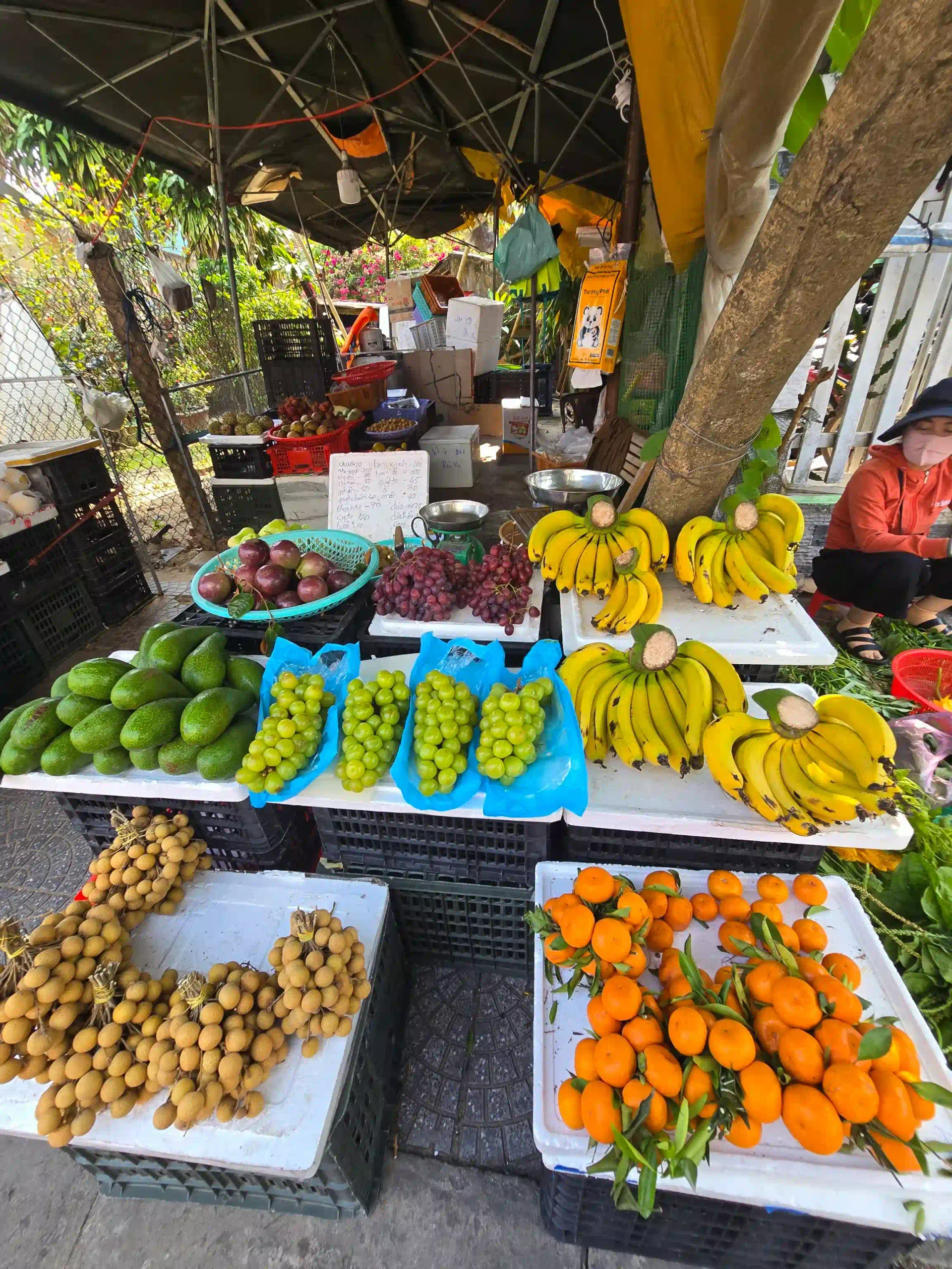 My 7 favorite things to do in Hoi An as an expat 30 A Cooking Class That Starts at the Market Hoi An 4 scaled Vietadvisor
