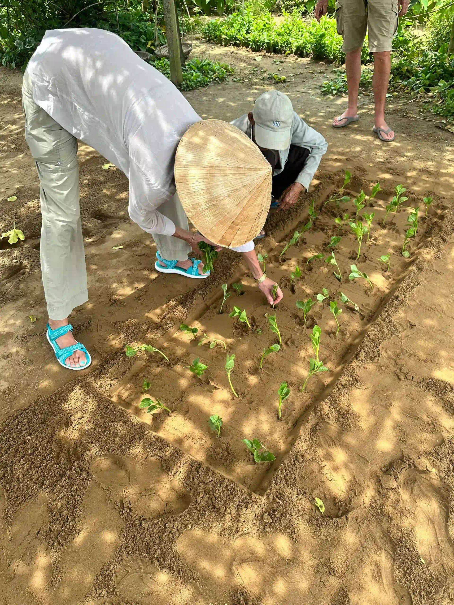 My 7 favorite things to do in Hoi An as an expat 31 A Cooking Class That Starts at the Market Hoi An 5 scaled Vietadvisor