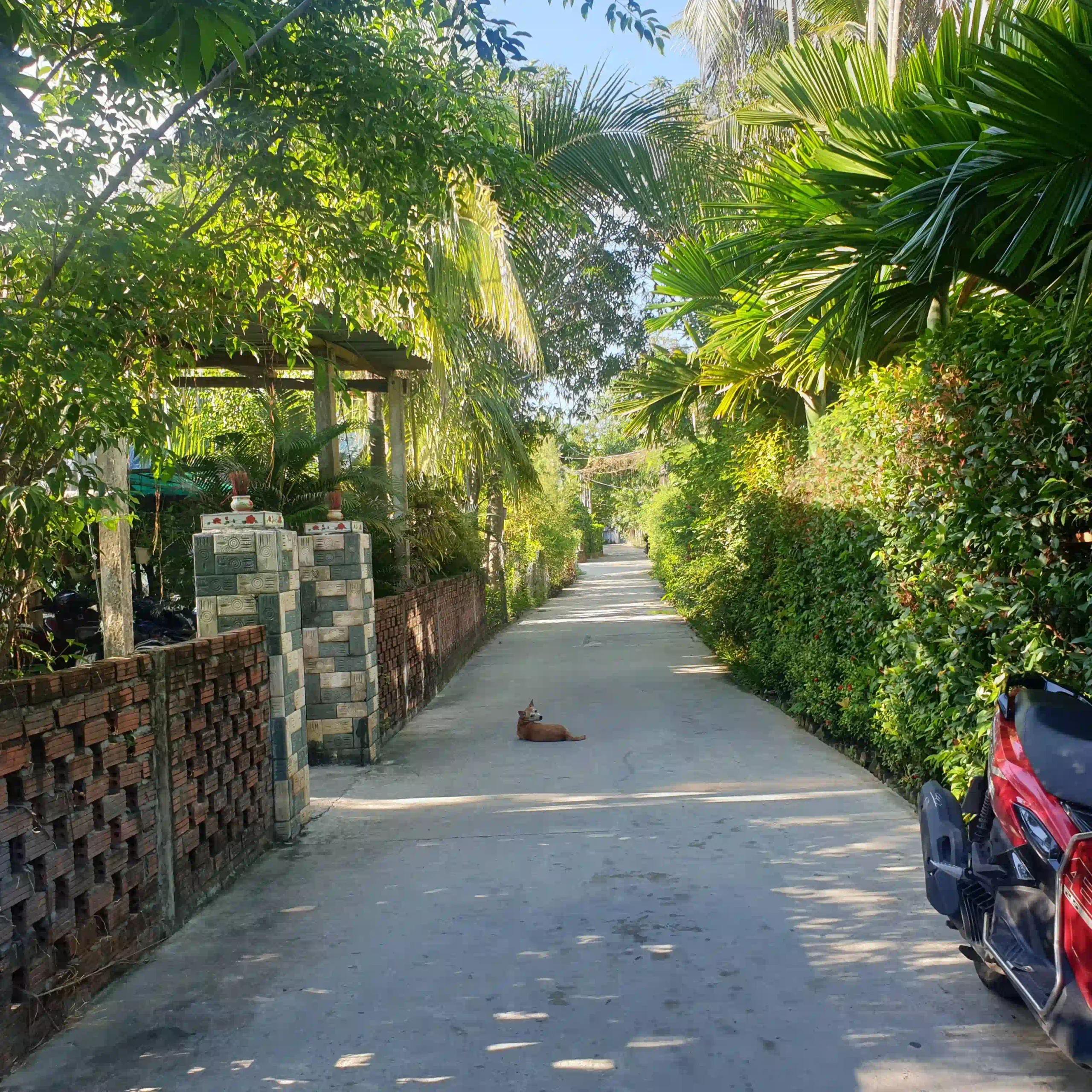 An Bang Beach Best for Longer Stays and Second Visits 5 scaled Vietadvisor