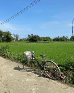 Cycle Out to Tra Que and the Rice Paddies 4