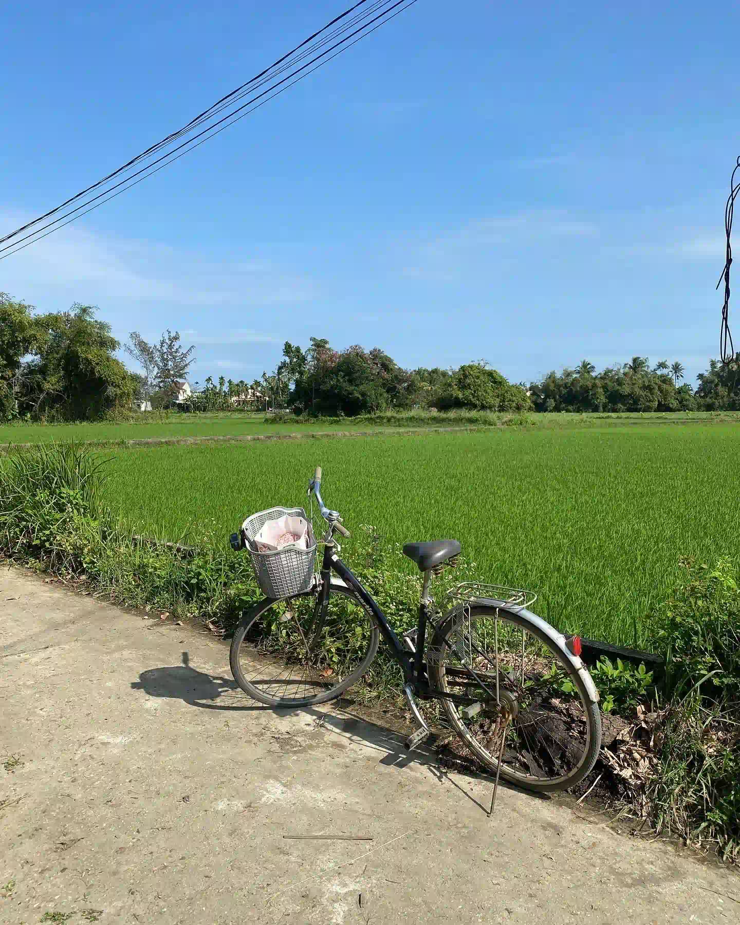 How many days in Hoi An is ideal for first timers? 17 Cycle Out to Tra Que and the Rice Paddies 4 Vietadvisor