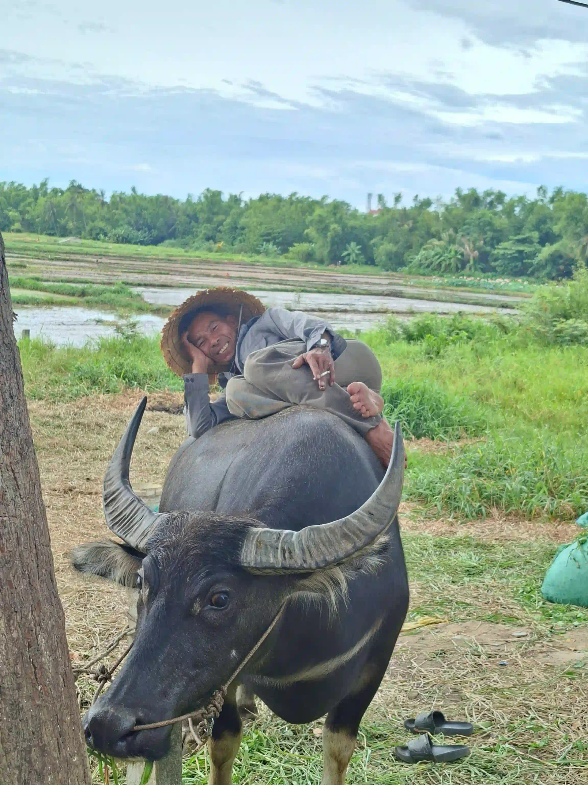 My 7 favorite things to do in Hoi An as an expat 12 Cycle Out to Tra Que and the Rice Paddies scaled Vietadvisor