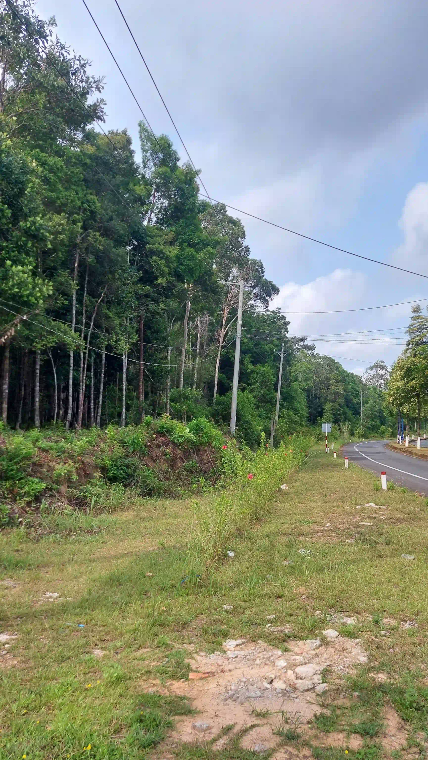 Is Phu Quoc worth visiting or overrated? What to expect 18 Get a Scooter Unless You Cant Ride Legally phu quoc 3 scaled Vietadvisor