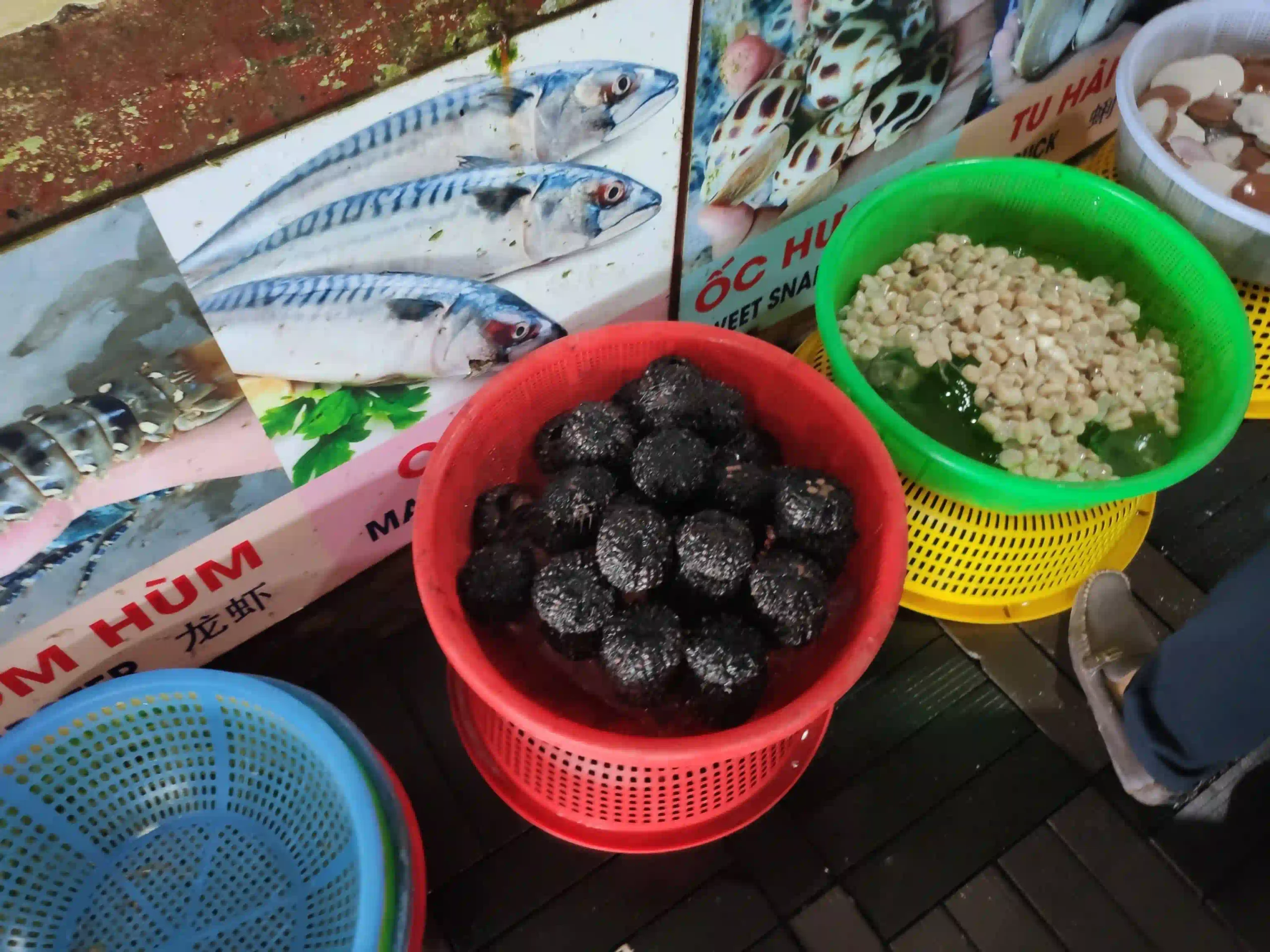 Phu Quoc food guide: Eat like a local (with prices & spots) 24 Grilled Sea Urchin the Best Value Thing to Eat in Phu Quoc 5 scaled Vietadvisor