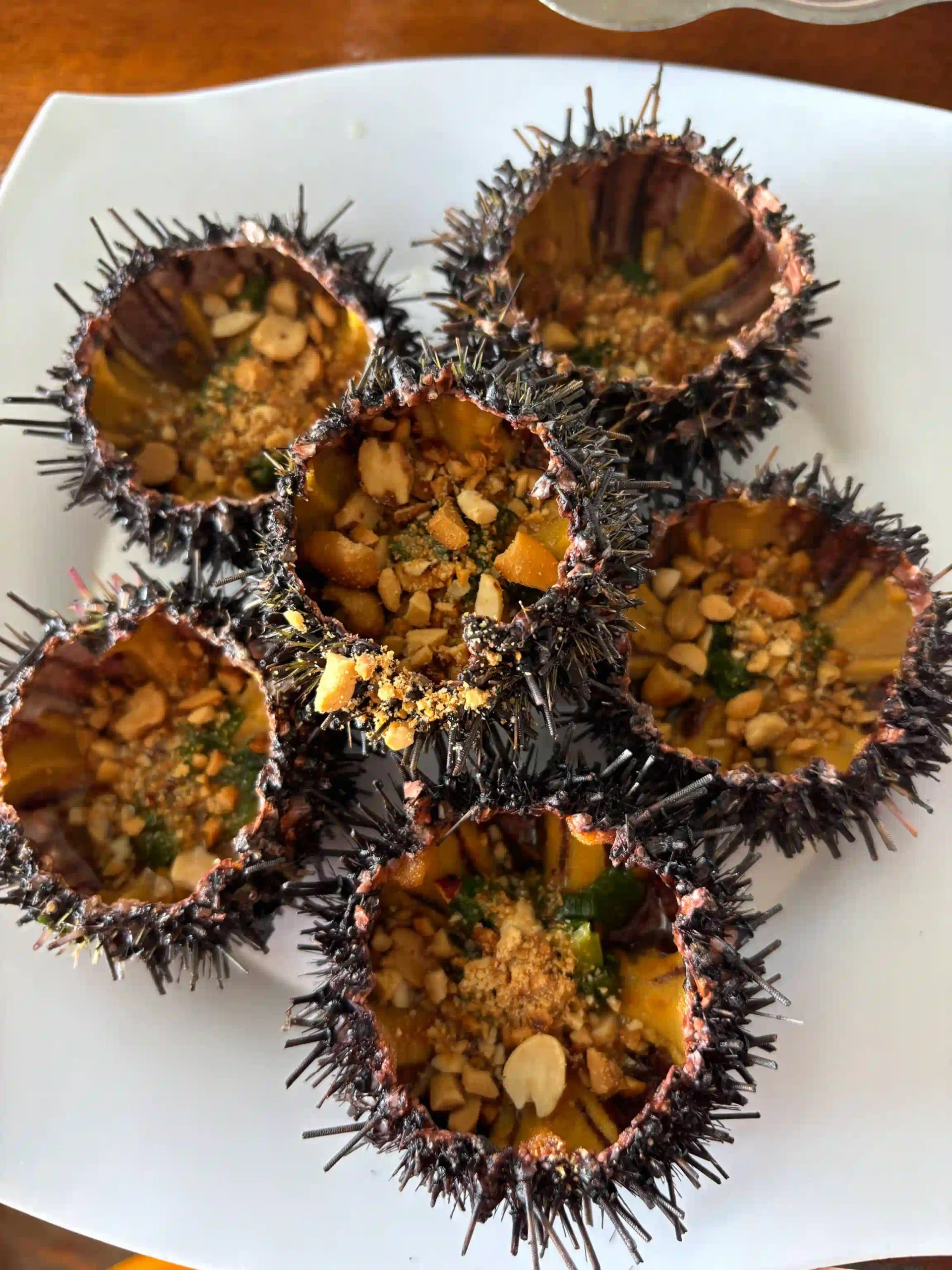 Phu Quoc food guide: Eat like a local (with prices & spots) 21 Grilled Sea Urchin the Best Value Thing to Eat in Phu Quoc scaled Vietadvisor