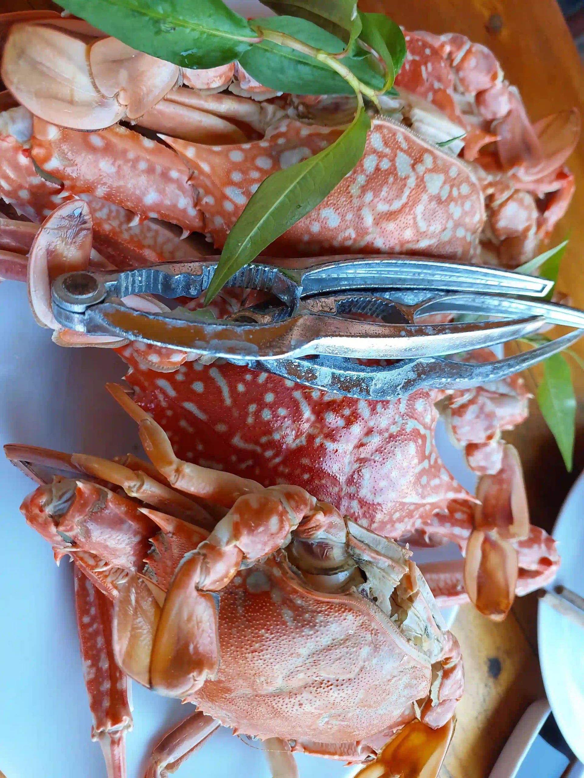 Phu Quoc food guide: Eat like a local (with prices & spots) 16 Ham Ninh Crab and Whether Its Worth the Money 2 scaled Vietadvisor