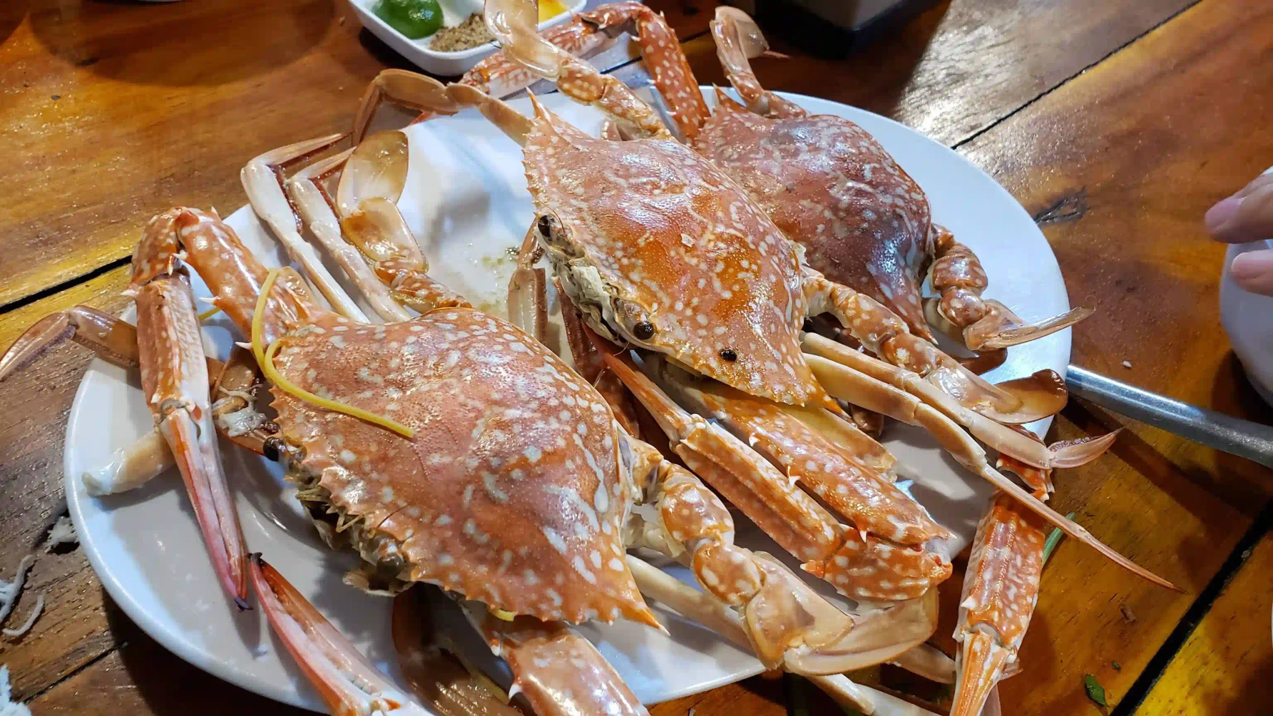 Phu Quoc food guide: Eat like a local (with prices & spots) 18 Ham Ninh Crab and Whether Its Worth the Money 4 scaled Vietadvisor