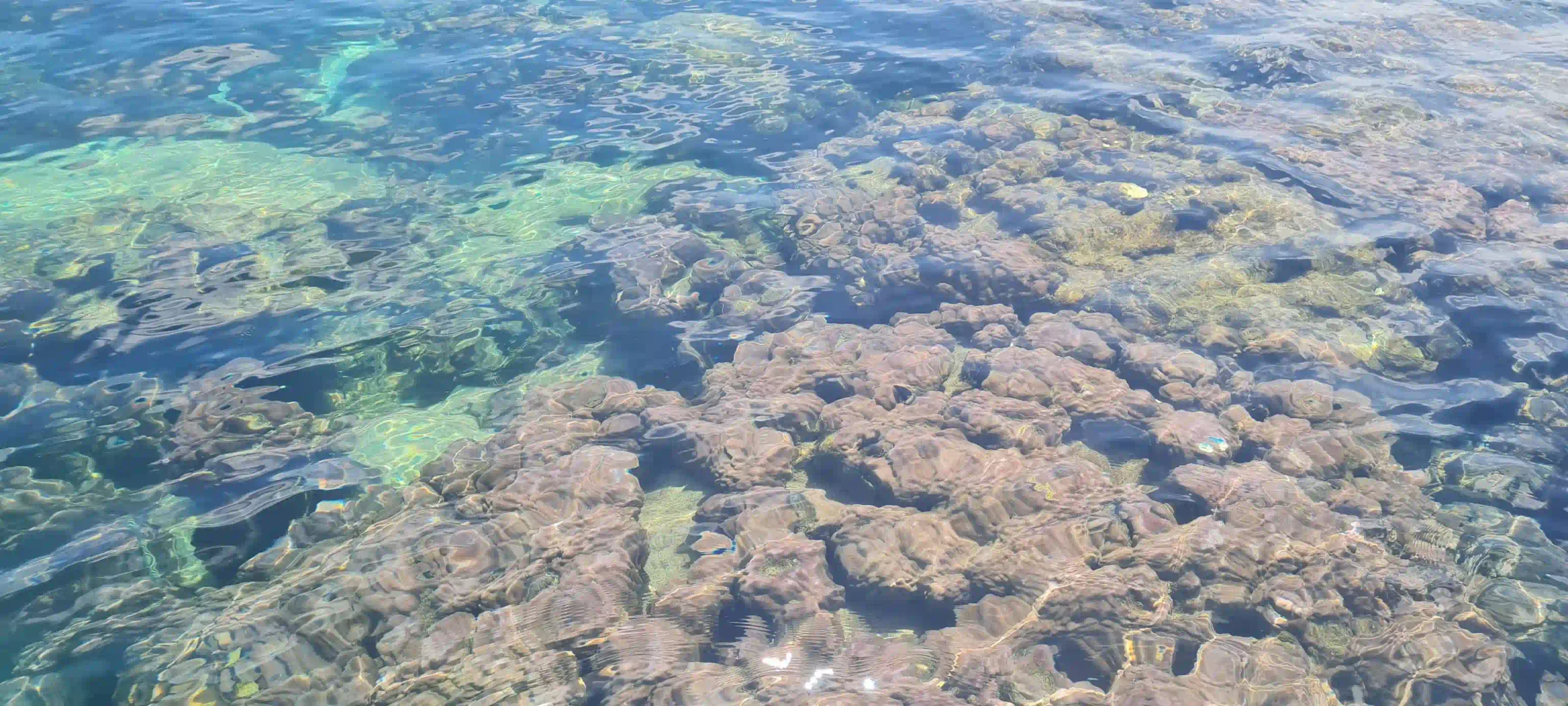 VIP Phu Quoc snorkeling tour review by an expat (4-Islands) 13 Hon Gam Ghi The Snorkeling Stop 2 scaled Vietadvisor