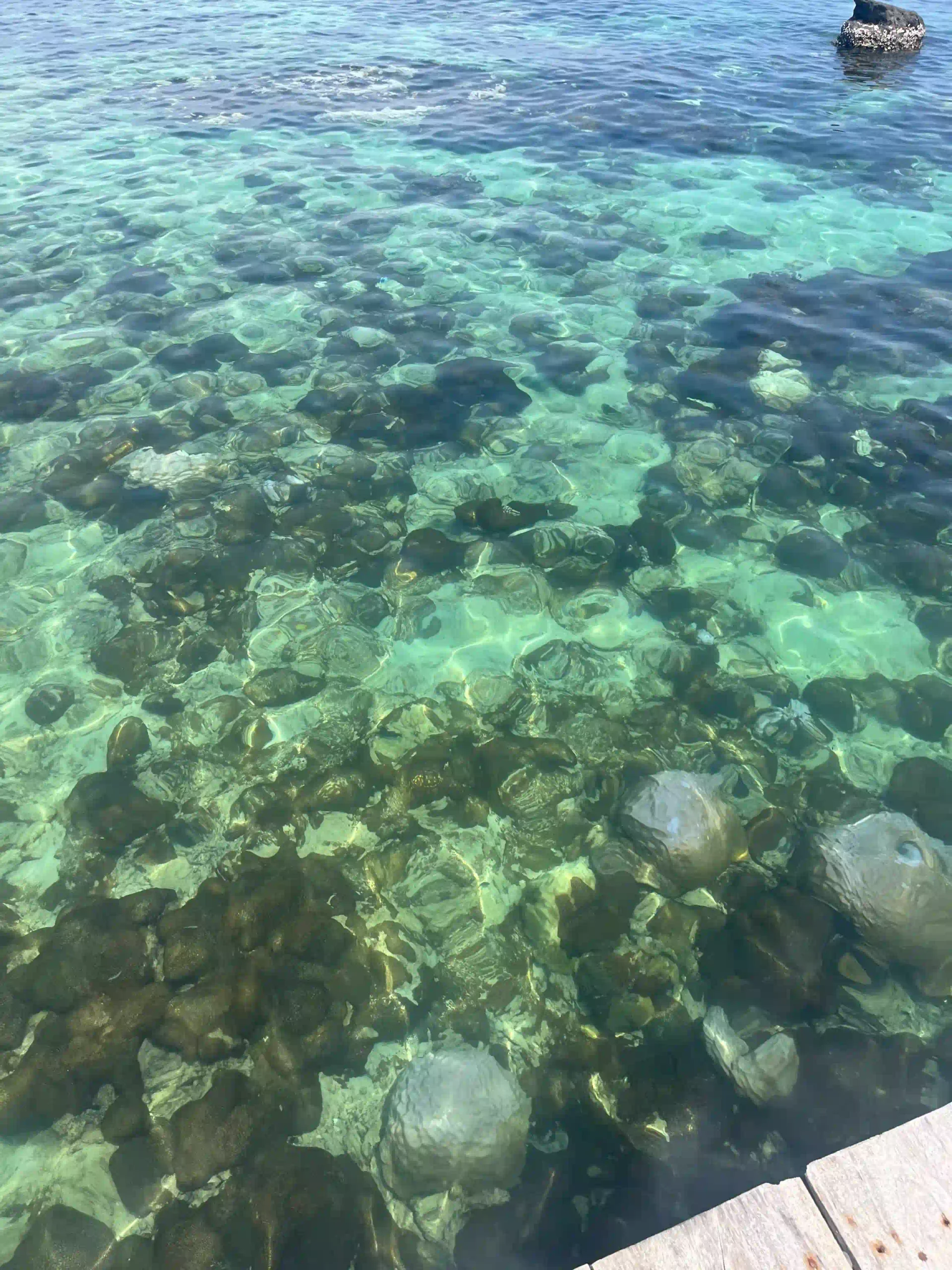 VIP Phu Quoc snorkeling tour review by an expat (4-Islands) 10 Hon May Rut The Beach Stop 4 scaled Vietadvisor